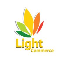 LIGHT COMMERCE LTD